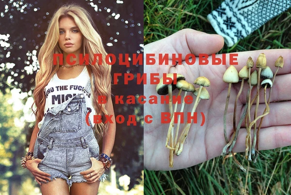 MDMA Premium VHQ Алзамай
