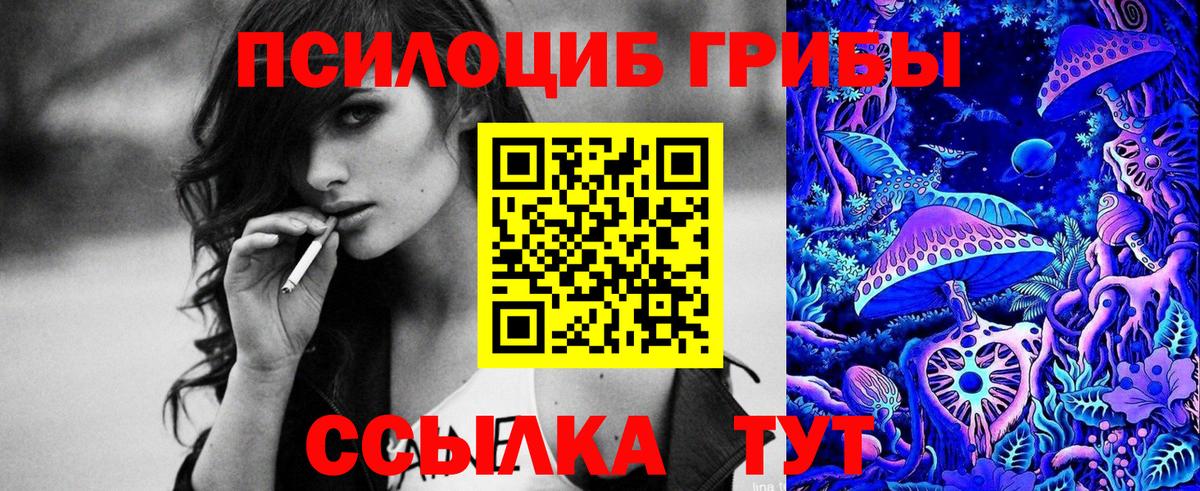 Галлюциногенные грибы Psilocybe  купить наркоту  Карпинск  Вход с VPN 